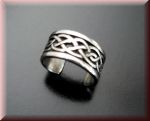 zeheceltic1.jpg